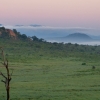 Zdjęcie z Kenii - mgły się ścielą nad sawanną...