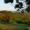 Zdjęcie z Kenii - rankiem na sawannie