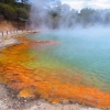 Zdjęcie z Nowej Zelandii - Niesamowite barwy wrzących jezior