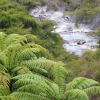 Zdjęcie z Nowej Zelandii - Wai-O-Tapu