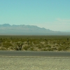 Zdjęcie ze Stanów Zjednoczonych - Pustynia Mojave