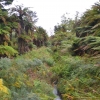 Zdjęcie z Nowej Zelandii - Dolinka Goracego Strumienia