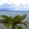 Zdjęcie z Nowej Zelandii - Lake Taupo