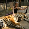 Zdjęcie z Tajlandii - Polowanie na Tygrysa! 