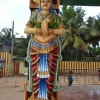 Zdjęcie ze Sri Lanki - MATALE