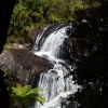 Zdjęcie ze Sri Lanki - WODOSPAD BAKERA