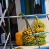 Zdjęcie z Malediw - owoce transportowane na wyspy
