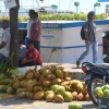 Zdjęcie z Malediw - zycie toczy sie w porcie