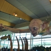 Zdjęcie z Nowej Zelandii - Terminal portu lotniczego w Wellington