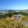 Zdjęcie z Nowej Zelandii - Widok na miasto z Mount Victoria