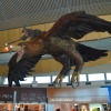 Zdjęcie z Nowej Zelandii - Terminal lotniska w Wellington