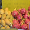 Zdjęcie z Tajlandii - mango i pitaja