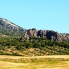 Zdjęcie z Hiszpanii - obszar pomiędzy Malagą a Granadą uznany jest za oliwkowe zagłębie Andaluzji