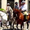 Zdjęcie z Hiszpanii - konna parada, czyli fiesta de Granada