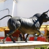 Zdjęcie z Hiszpanii - Pomnik rozjuszonego byka przed Areną
