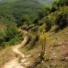 Zdjęcie z Macedonii - Wioska Malowiszte - szlak w góry Pelister..