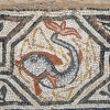 Zdjęcie z Macedonii - Heraclea - fragment mozaiki podłogowej.
