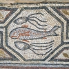Zdjęcie z Macedonii - Heraclea - fragment mozaiki podłogowej.