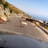 Zdjęcie z Albanii - Widoki z nadmorskiej głównej drogi...