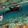 Zdjęcie z Malediw - reethi - nurkowanie
