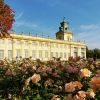 Zdjęcie z Polski - moje ulubione herbaciane róże....