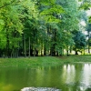 Zdjęcie z Polski - w parku znajdziemy dwa stawy i jedno małe jeziorko
