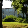 Zdjęcie z Polski - ruiny zamku w Janowcu