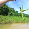 Zdjęcie z Tajlandii - Ptaszek zrobiony z liscia palmy