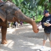 Zdjęcie z Tajlandii - Tankuje naszego slonia :)