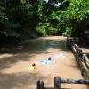 Zdjęcie z Tajlandii - Tajskie dzieci kapiace sie w rzece