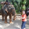 Zdjęcie z Tajlandii - Po trekkingu trzeba zatankowac slonia :)