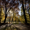 Zdjęcie z Polski - w Parku Sołackim