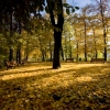 Zdjęcie z Polski - w Parku Sołackim