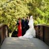 Zdjęcie z Polski - na parkowych mosteczkach nad Utratą młode pary znalazły piękny plener fotograficzny