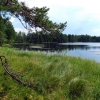 Zdjęcie z Łotwy - Park Narodowy Kemeri - zarastające jeziorko.