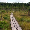 Zdjęcie z Łotwy - Rezerwat Dunika.