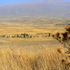 Zdjęcie z Armenii - Zorac Karer