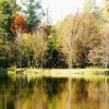 Zdjęcie z Polski - park w Arkadii w jesiennej odsłonie