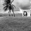 Zdjęcie z Kuby - Che, 2013 rok
