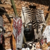 Zdjęcie z Republiki Półudniowej Afryki - Łaszki, fatałaszki i zebra :)