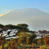 Zdjęcie z Kenii - Kilimandżaro o świcie