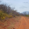 Zdjęcie z Kenii - Czerwona ziemia w Tsavo.
