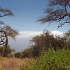 Zdjęcie z Kenii - Widok na Kilimandżaro.