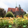 Zdjęcie z Polski - Ogród Botaniczny