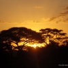 Zdjęcie z Kenii - Zachód słońca nad Amboseli...
