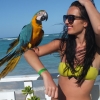 Zdjęcie z Dominikany - Bliskie spotkanie z papugą