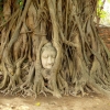 Zdjęcie z Tajlandii - Słynna Głowa Buddy z Ayuttaja;