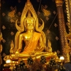 Zdjęcie z Tajlandii - Siedzący Phra Buddha Chinnarat z pozłacanego brązu