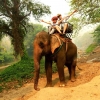 Zdjęcie z Tajlandii - taka przejażdżka na słoniu to ciekawe doświadczenie i bardzo fajna przygoda