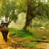 Zdjęcie z Tajlandii - słonie, rzeczka, las deszczowy...., pięknie...